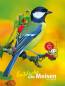 Preview: Entdecke die Meisen